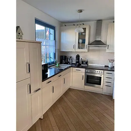 Seahorse Comfortable *