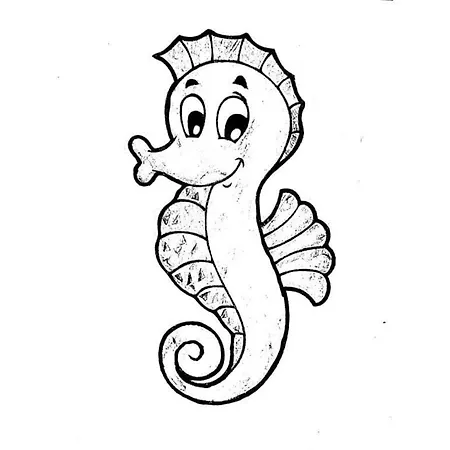 Seahorse Comfortable * Glowe