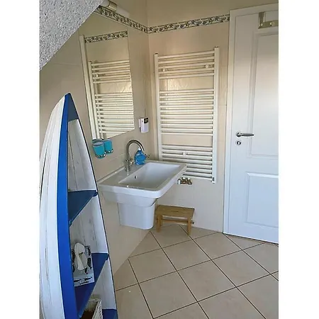 Seahorse Comfortable