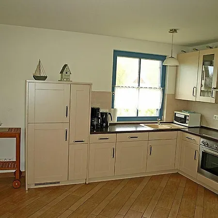 Seahorse Comfortable *