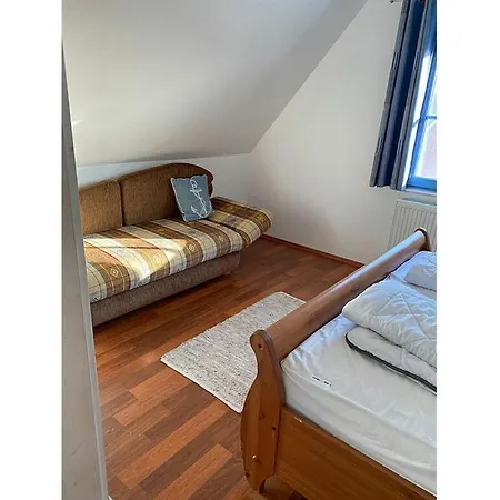 Seahorse Comfortable * Glowe