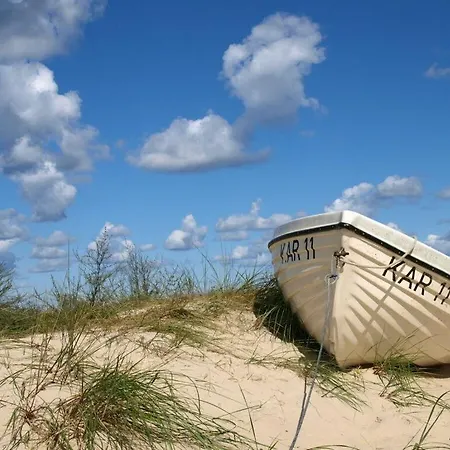 Seahorse Comfortable * Glowe