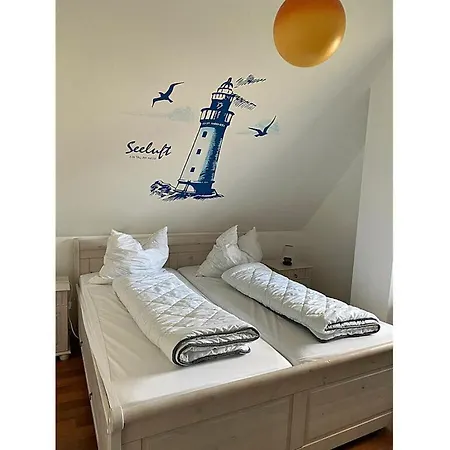 Seahorse Comfortable *