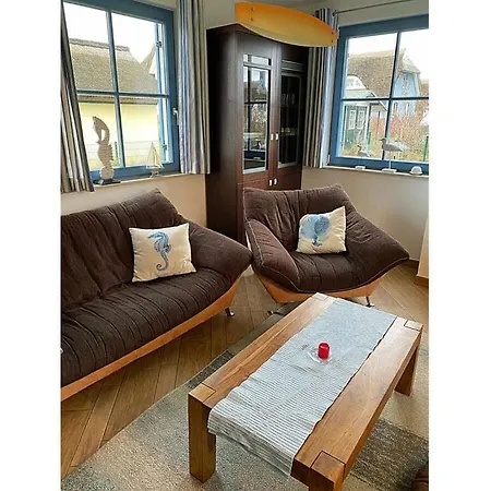 Seahorse Comfortable * Glowe