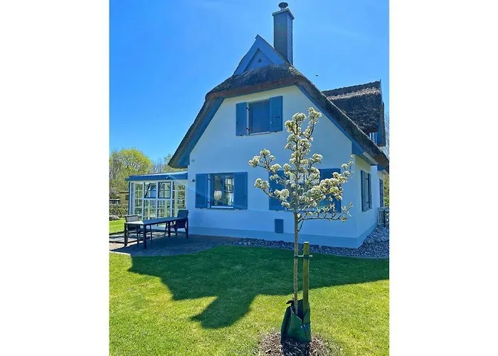 Feriehus Seahorse Comfortable