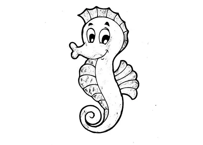 Seahorse Comfortable * Glowe